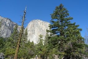 yosemite mountains green trees national park view