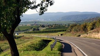 highway in a picturesque landscape in Palatinate