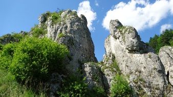 green plants near rocks in poland