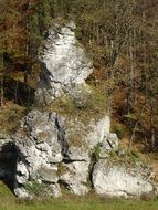 small rock among the autumn forest in poland