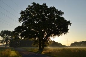 morning haze in the bright sun