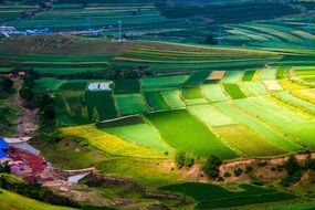 view from the mountain to the green field