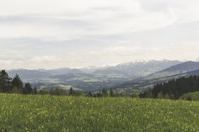 mountains and forest