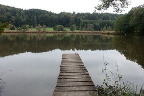 boardwalk on calm water in front of forest at summer