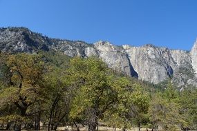 yosemite national park mountain trees landscape
