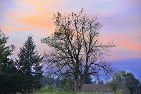 evening sky over the countryside