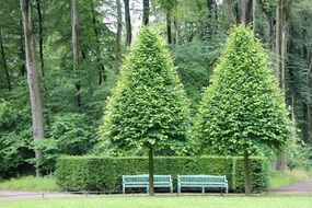 romantic mood in a green park