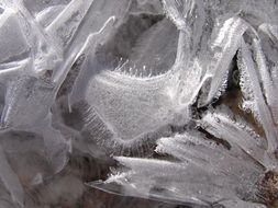 salt crystals under the microscope