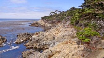 USA landscape nature, hiway 101