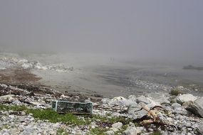 garbage on a foggy seashore