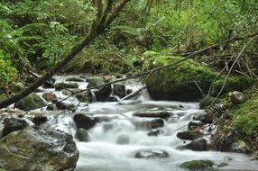 River Asturias