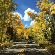 car driving on the highway along the autumn forest in Colorado