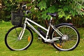 bike with a black basket on green grass