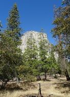 scene of yosemite national park el capitan mountain