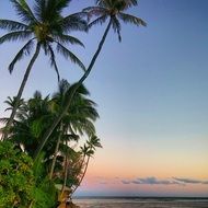 Exotic Tropical Paradise