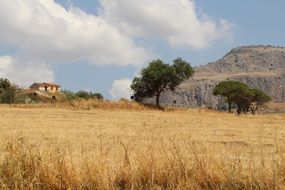 countryside in sicily