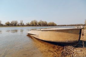 boat on the water near the shore