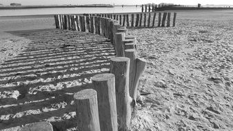 curved row of weathered wooden poles on beach