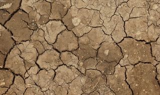 photo of dry land in desert