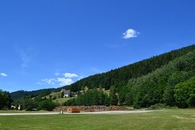 Summer Forest with mountains panorama