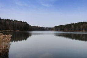 landscape of forest reflection in a calm lake