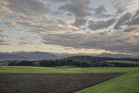 black field among green meadows