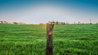 blue sky over a green farm field