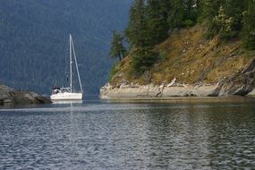 White Sailboat on a water