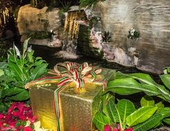 bright box with a gift among plants
