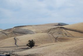 Desert View