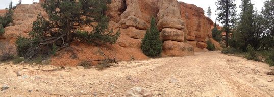 rocks in the Bryce Canyon