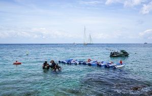 divers on the coast of Cozumel, Mexico