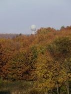 autumn trees on beech mountain in Hungary