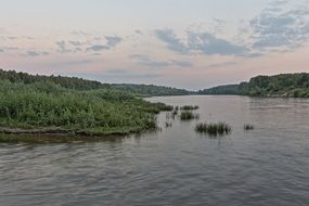 green thickets on the banks of the Desna River