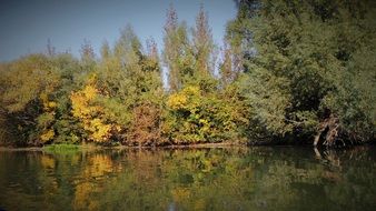 Little Danube river at autumn, Slovakia