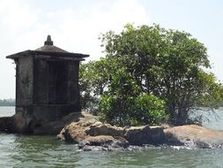 tower near a tree on the river