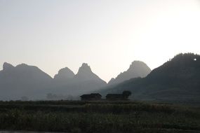 landscape of houses on meadow at green hills in fog, china, Fujian