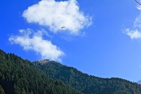 Forestry Mountains Landscape