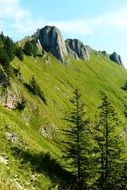 peak Branderschrofen in summer