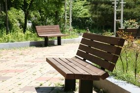 benches in picturesque and pretty Park