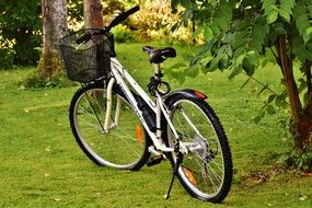 bike with a black basket in the park