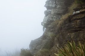 lion's head mountain trail in the fog