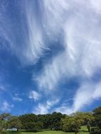 Clouds Trees