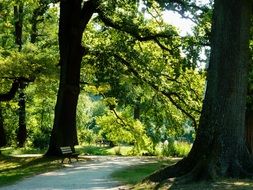landscape of magic beauty Summer in park