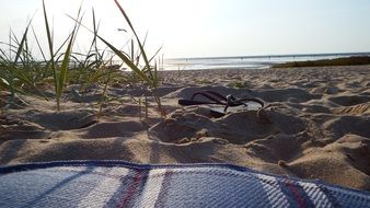 extraordinary Beach Dunes