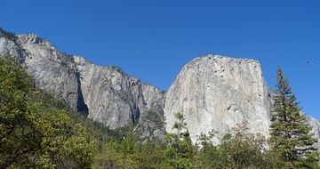 summer in the Yosemite national park