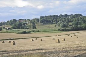 hay bales on Harvested field in Farmland, France, Cassel