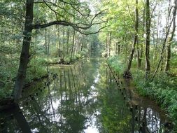 river channel in the biosphere reserve in spreewald