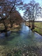 bare trees at channel in countryside