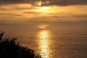 delightful gold Sunset